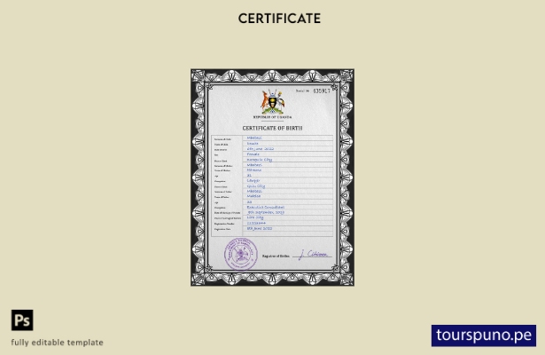 listo para imprimir plantilla de plantilla PSD de certificado de nacimiento de U